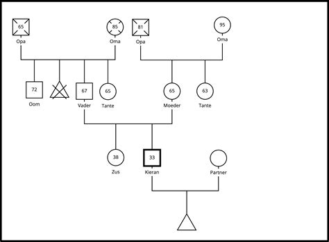 hoe maak je een genogram|Hoe u een genogram maakt voor uitgebreide visuele。